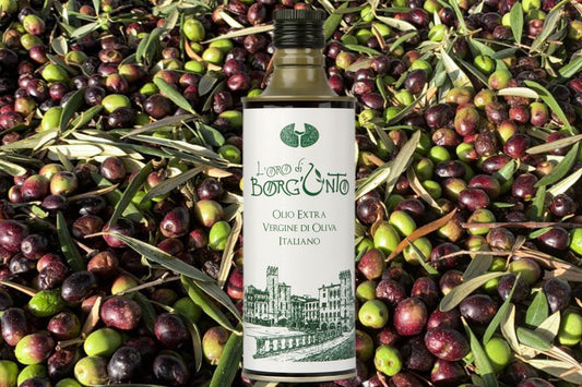 L’oro di Borg’Unto — Olio Extra Vergine di Oliva Italiano su sfondo di olive fresche dei Colli Aretini