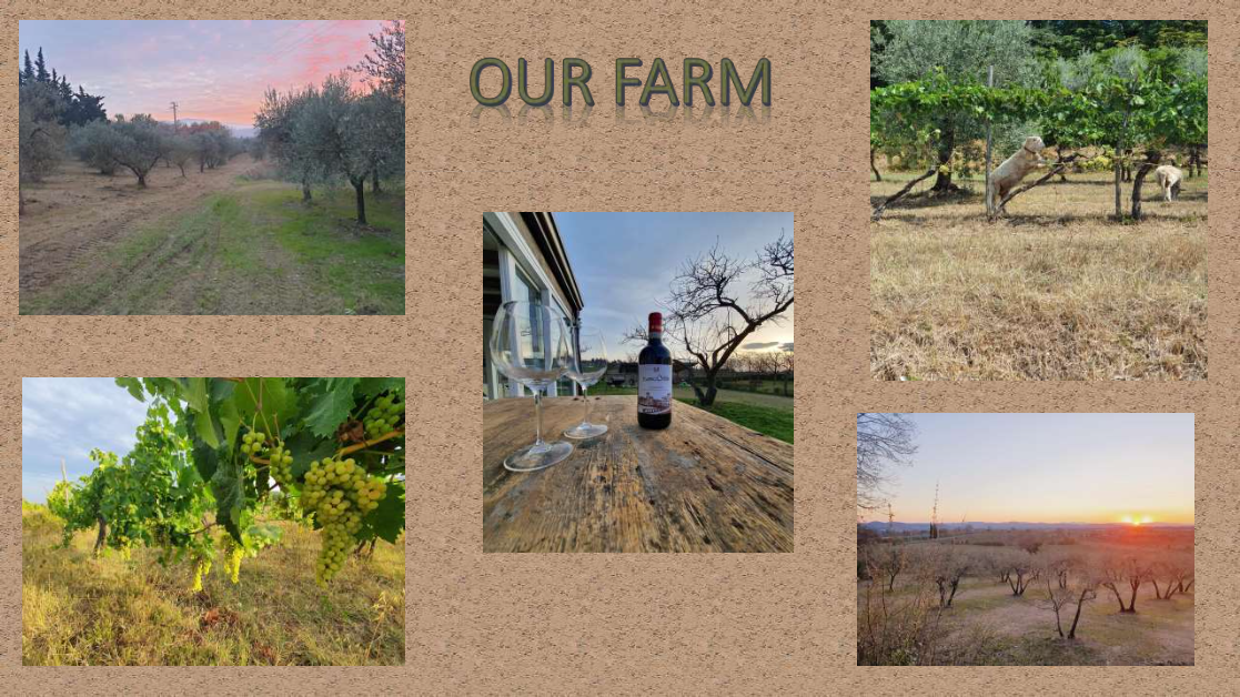 Azienda agricola Borgunto con vini toscani biologici